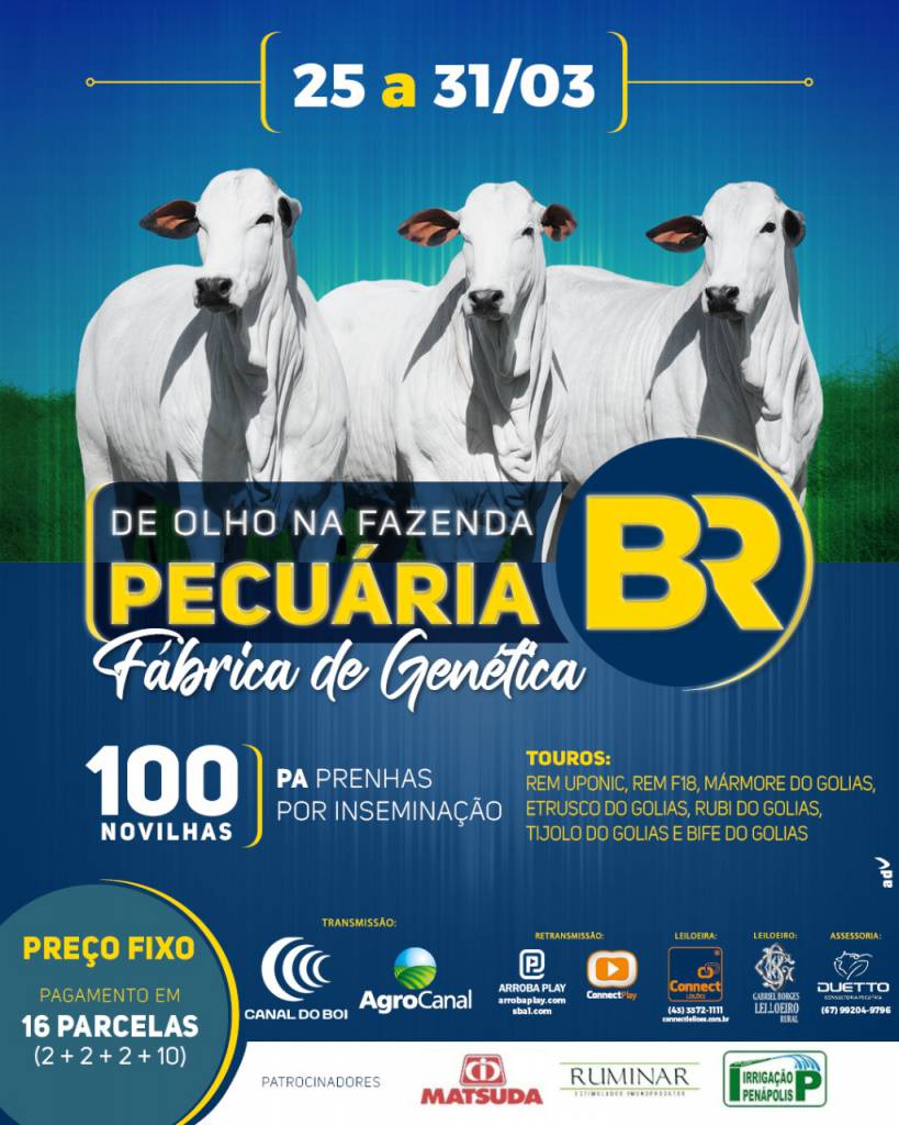 De Olho na Fazenda Pecuária BR - Fábrica de genética' começa hoje