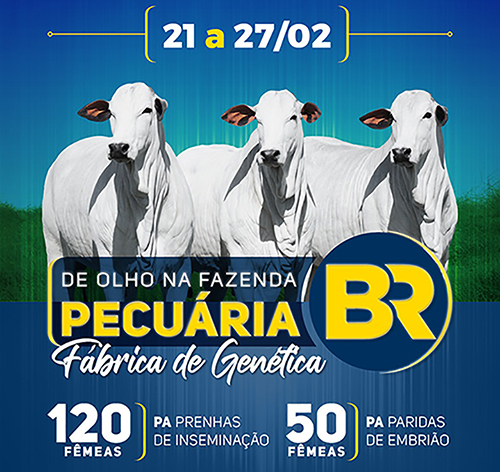 De Olho na Fazenda Pecuária BR - Fábrica de genética' começa hoje