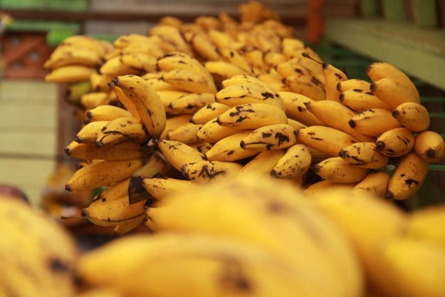 Banana, laranja, mamão e melancia ficam mais baratos - SBA1 | Sistema  Brasileiro do Agronegócio