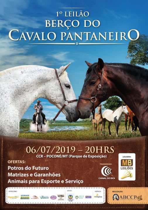 Cavalo Pantaneiro se destaca por ter aptidões - SBA1