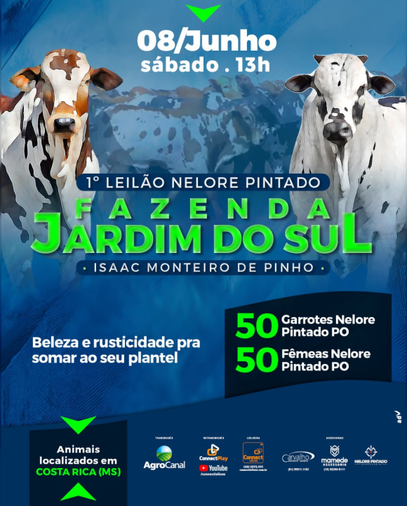 1° Leilão Nelore Pintado Jardim do Sul hoje no Agro Canal