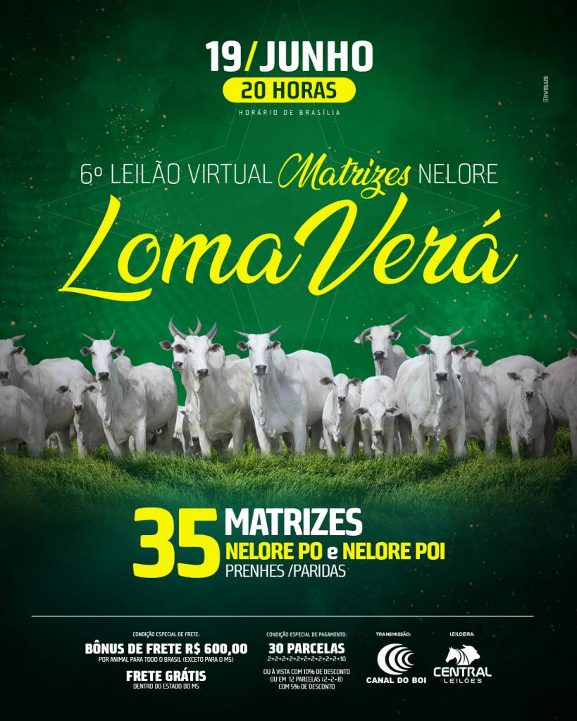 6° Leilão Virtual Matrizes Nelore Loma Verá hoje às 20h no Canal do Boi