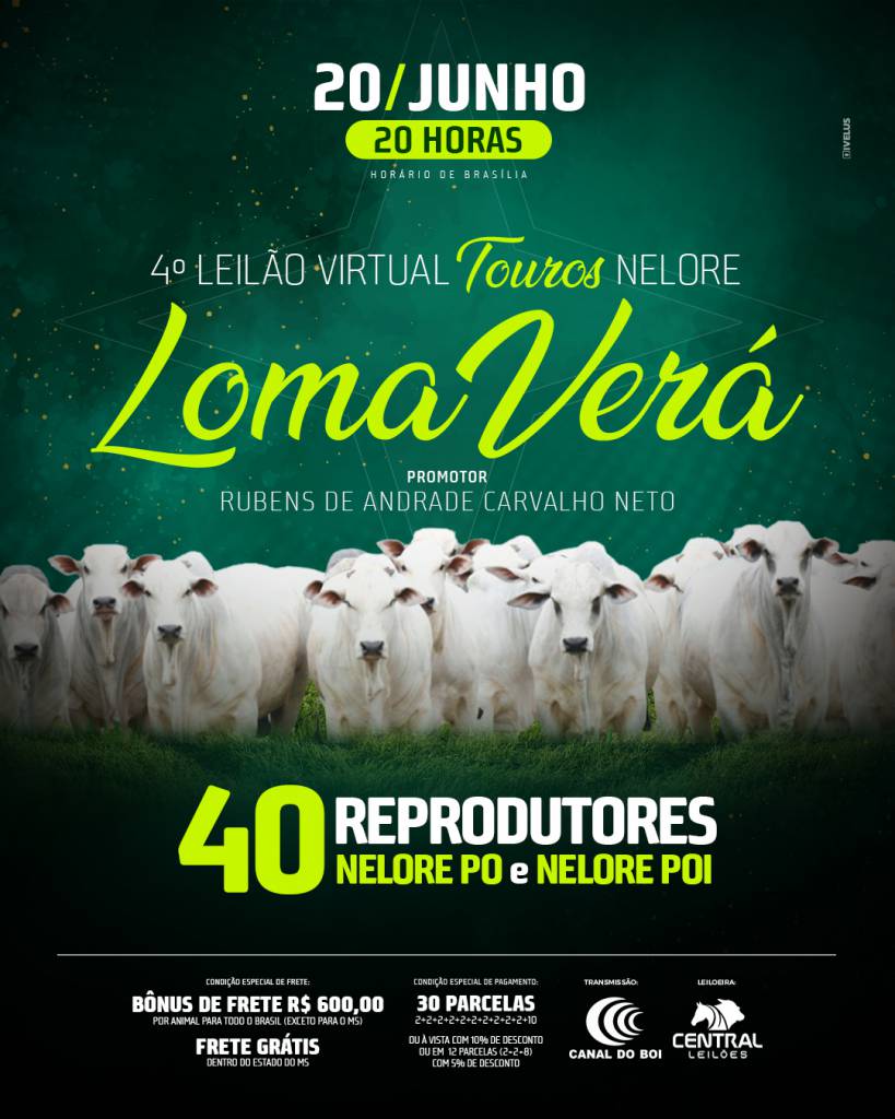 4° Leilão Virtual Touros Nelore Loma Verá hoje às 20h no Canal do Boi