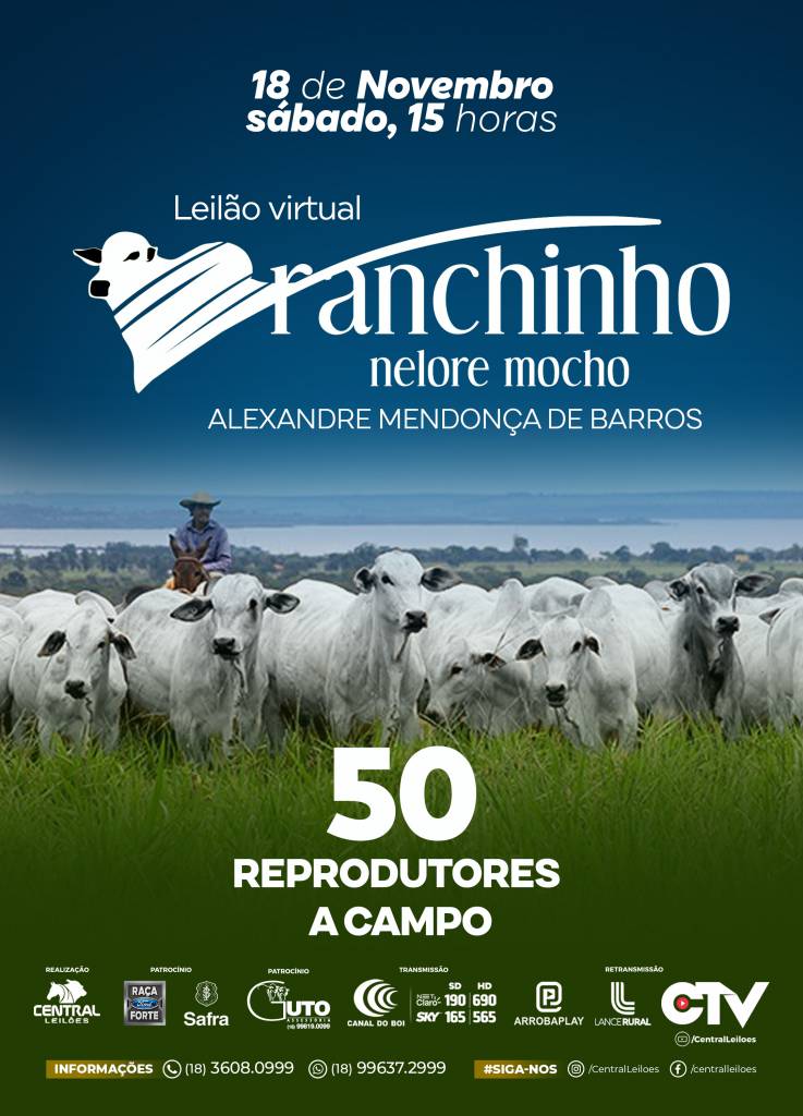 Leilão Virtual Brumado tem oferta de animais Nelore selecionados