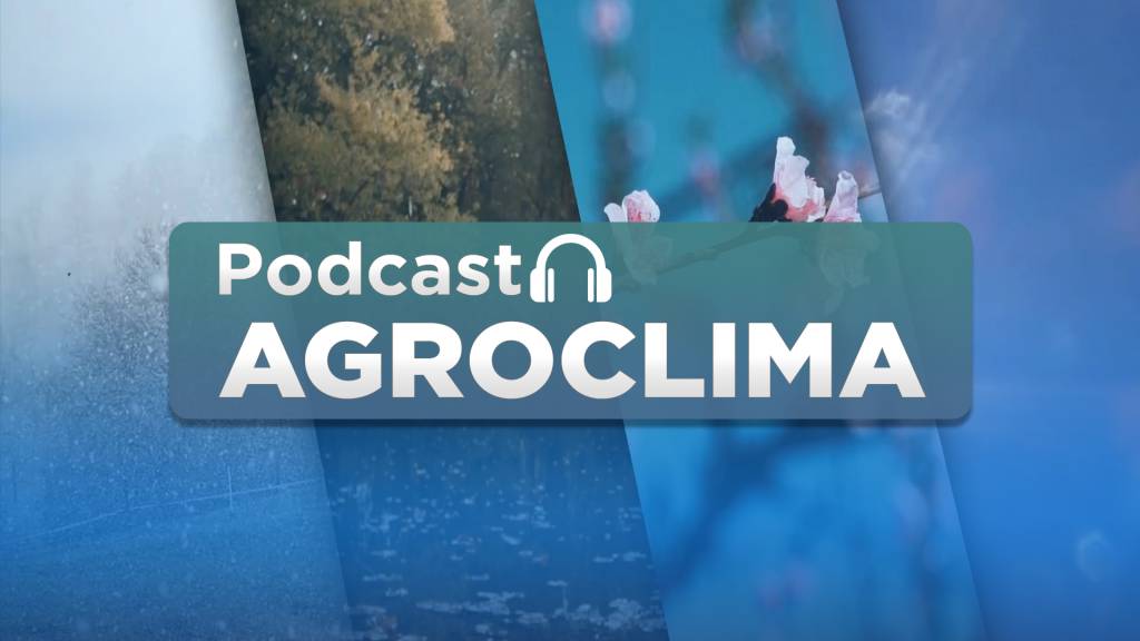 Agroclima: Chove em Goiás, Mato Grosso, Santa Catarina e Paraná nesta segunda