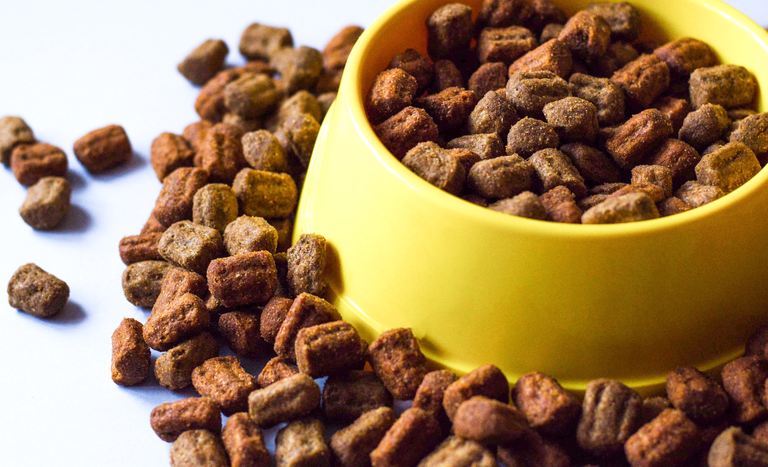 Abertura de mercados para o Brasil na Malásia e em Burkina Faso