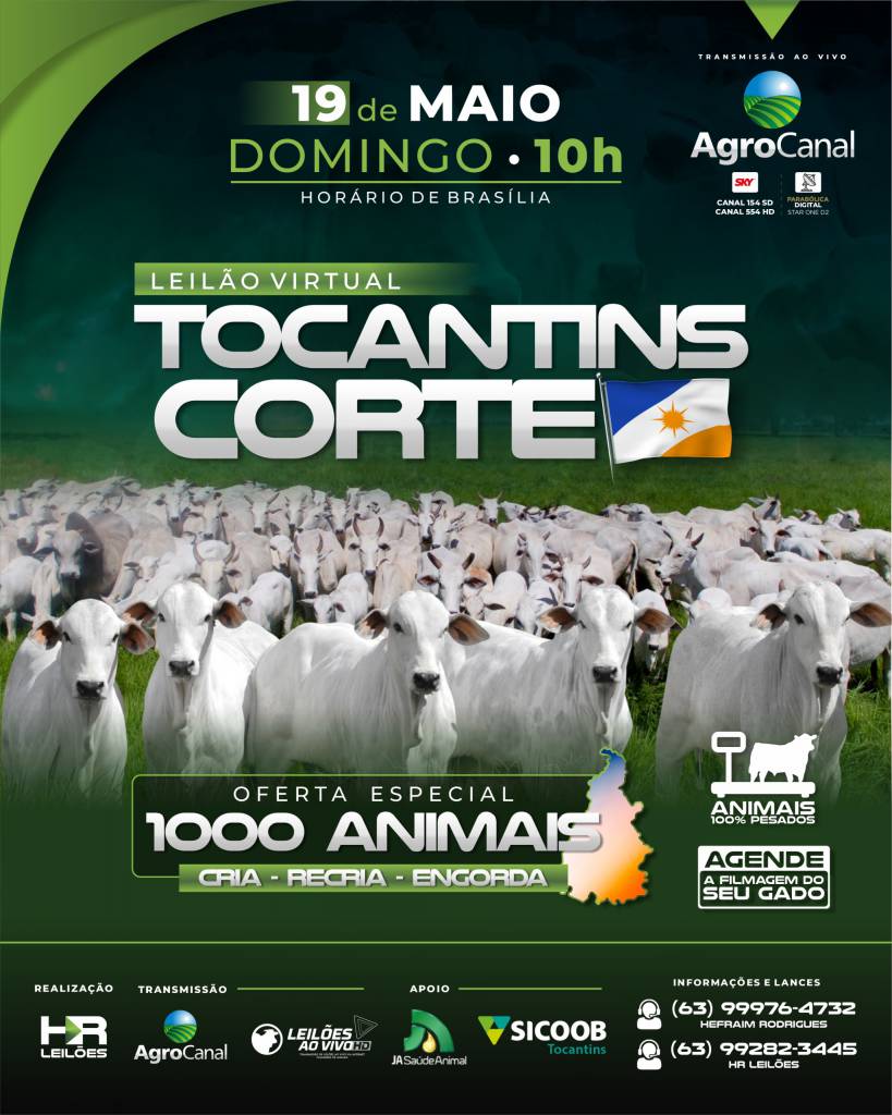 Leilão Virtual Tocantins Corte hoje às 10h no Agro Canal