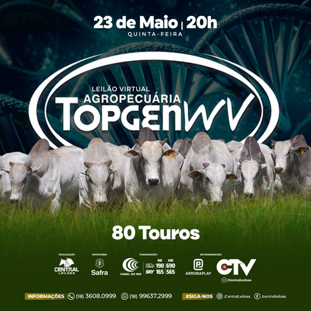 Leilão Virtual Agropecuária TOPGEN WV hoje às 20h no Canal do Boi