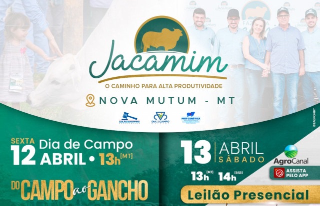 Leilão Presencial Fazenda Jacamim hoje no Agro Canal