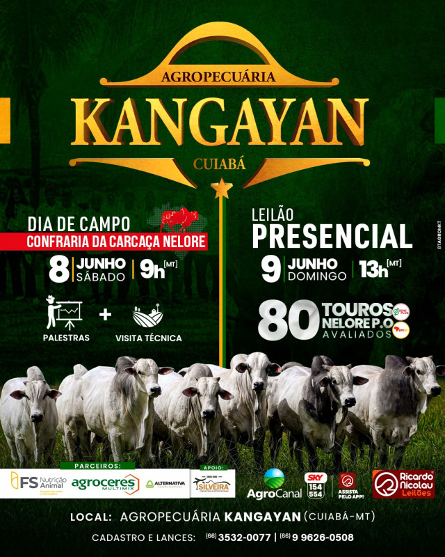 Leilão Presencial Agropecuária Kangayan hoje no Agro Canal