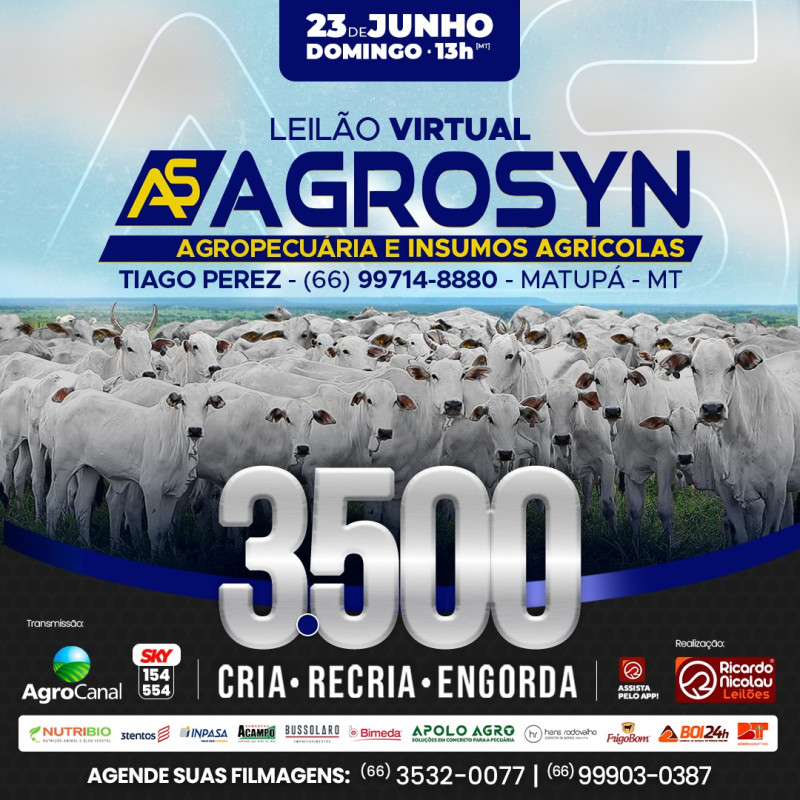 Leilão Virtual Agrosyn hoje no Agro Canal