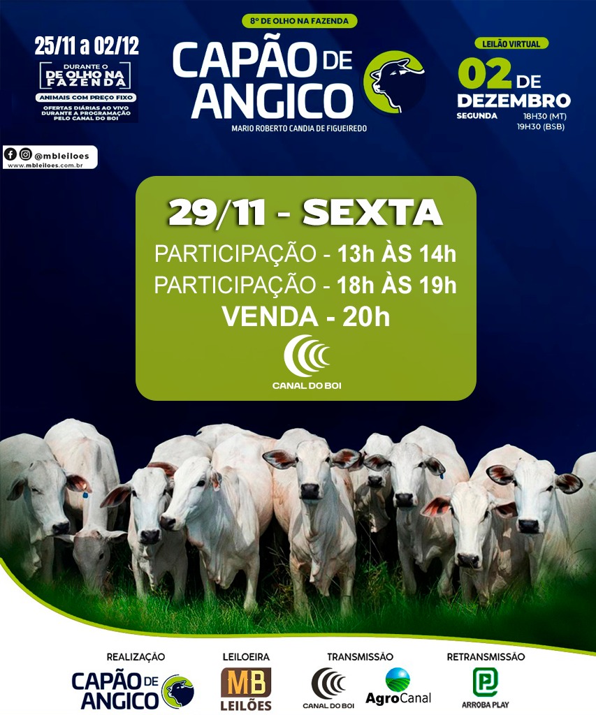 De Olho na Fazenda Capão de Angico nesta sexta-feira no Canal do Boi