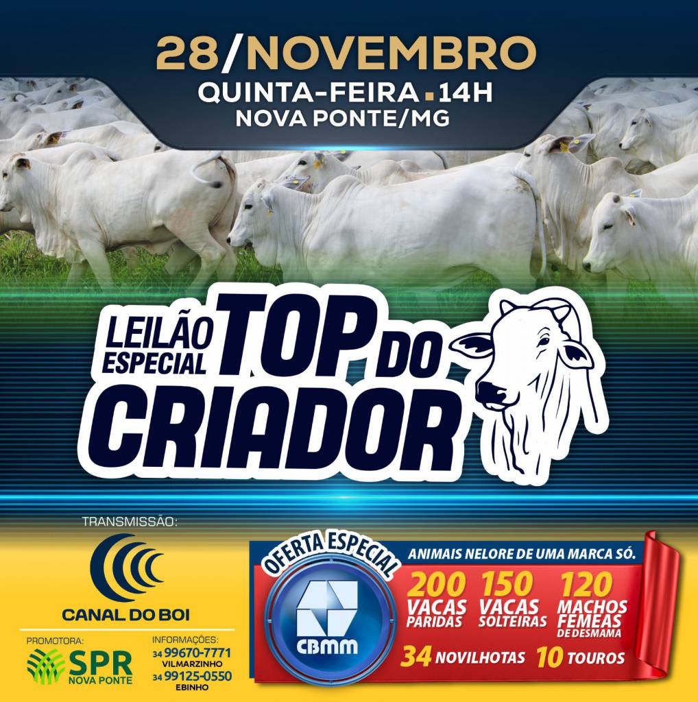 Leilão Especial Top do Criador hoje no Canal do Boi