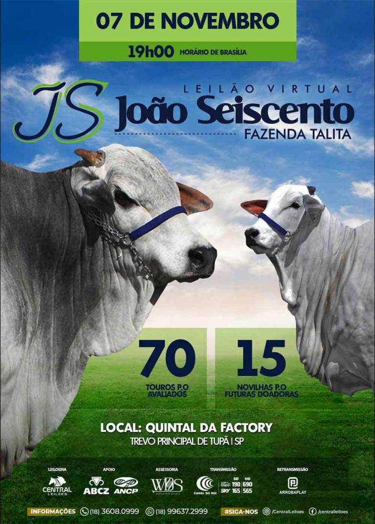 Leilão Virtual João Seiscento Fazenda Talita hoje às 19h no Canal do Boi