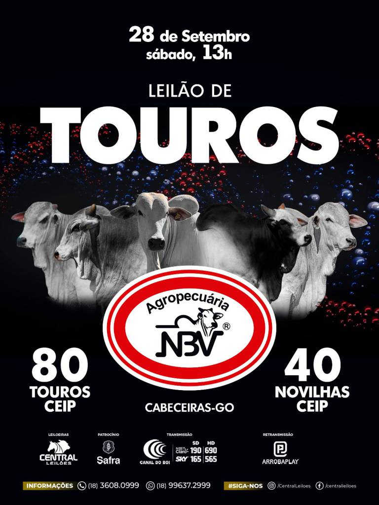 Leilão de Touros Agropecuária NBV hoje às 13h no Canal do Boi