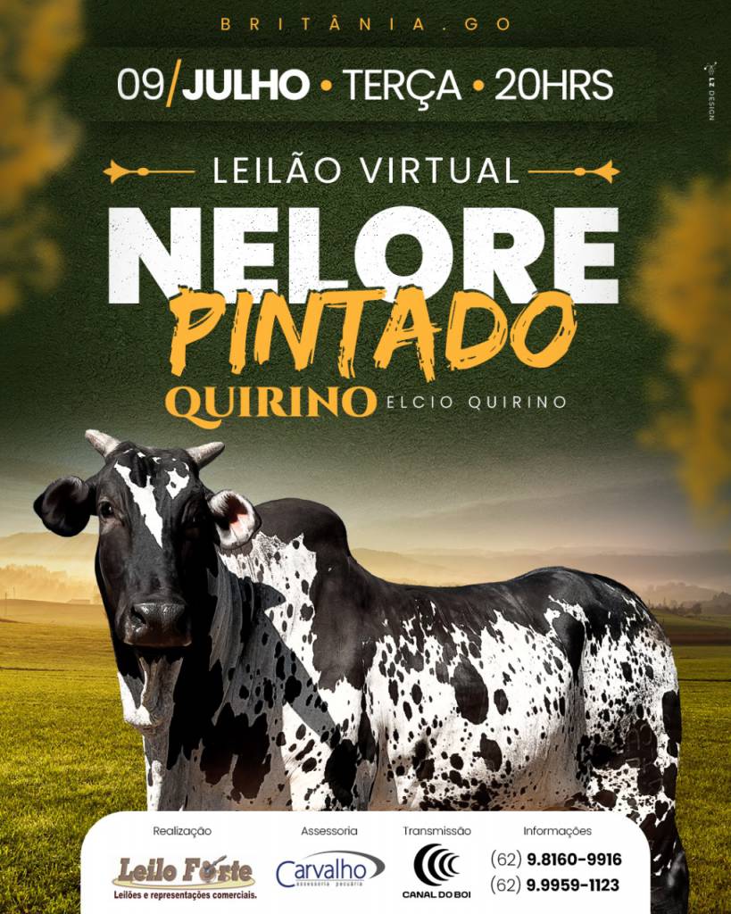 Leilão Virtual Nelore Pintado Quirino hoje às 19h no Canal do Boi