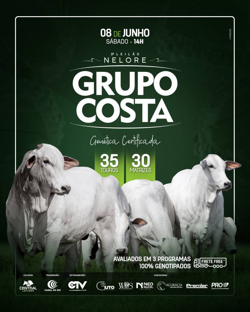 3° Leilão Nelore Grupo Costa hoje às 14h no Canal do Boi