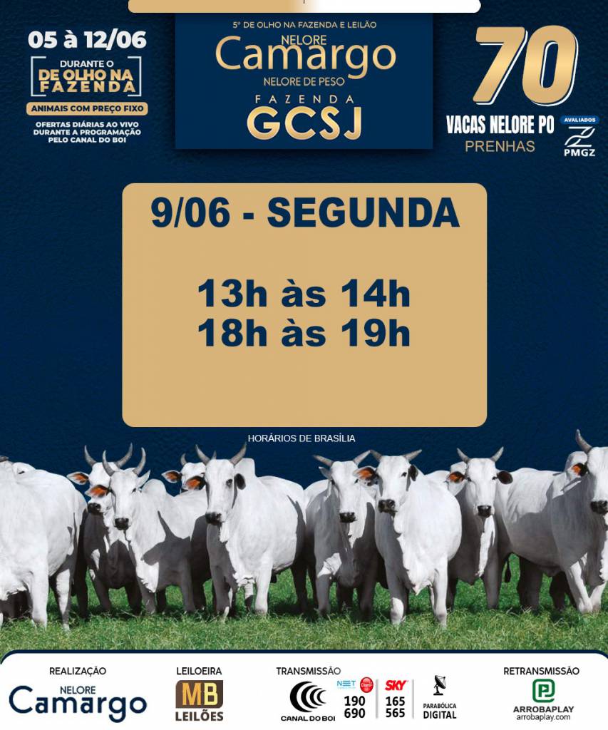 5° De Olho Na Fazenda Nelore Camargo hoje às 20h no Canal do Boi