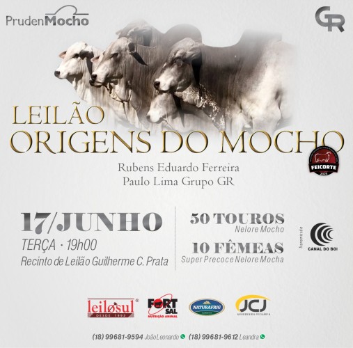Leilão Origens do Mocho hoje às 19h no Canal do Boi e Agro Canal