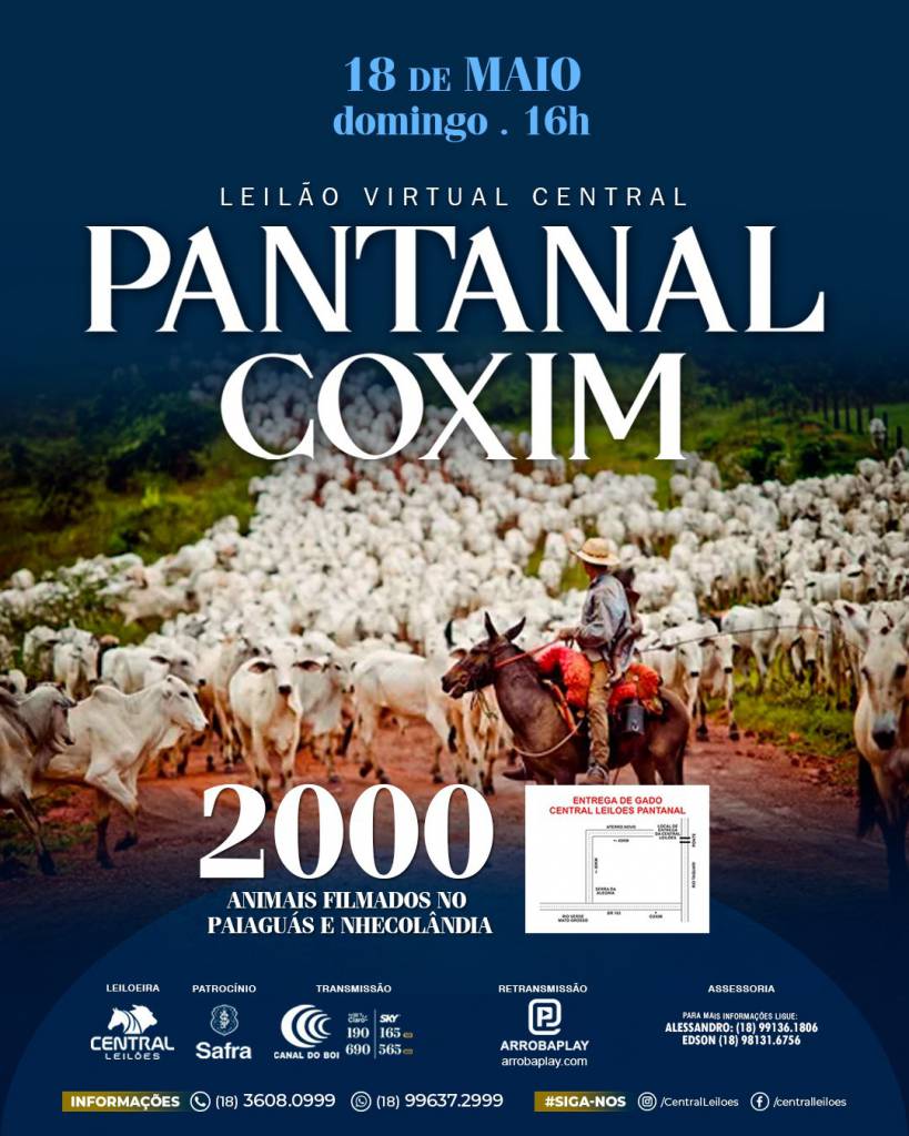 Leilão Virtual Central Pantanal Coxim hoje às 16h no Canal do Boi