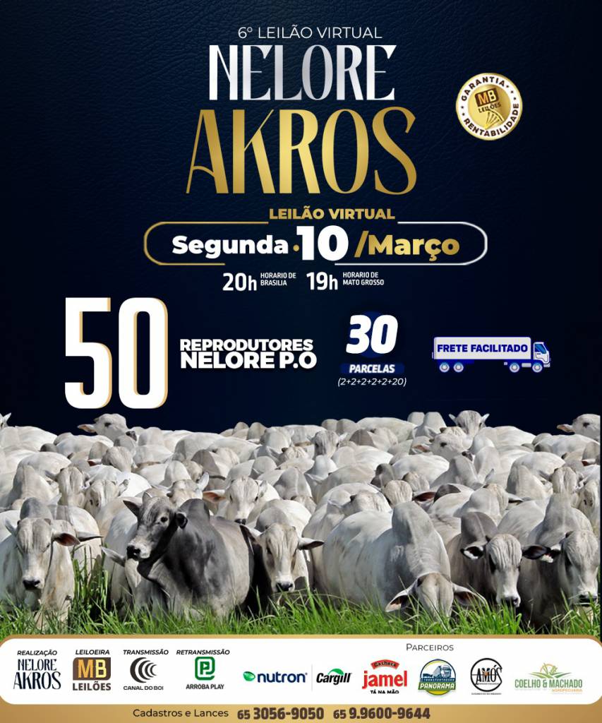 6º Leilão Virtual Nelore Akros da MB Leilões nesta segunda-feira no Canal do Boi