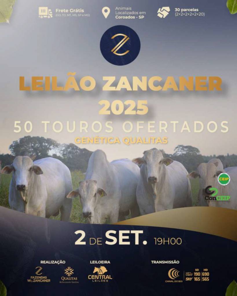 Leilão Zancaner 2025 hoje às 19h no Canal do Boi