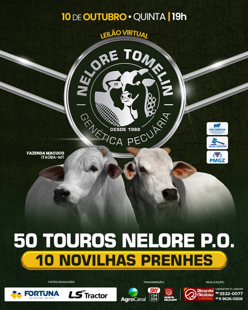 Leilão Virtual Nelore Tomelin - Fazenda Macuco hoje no Agro Canal