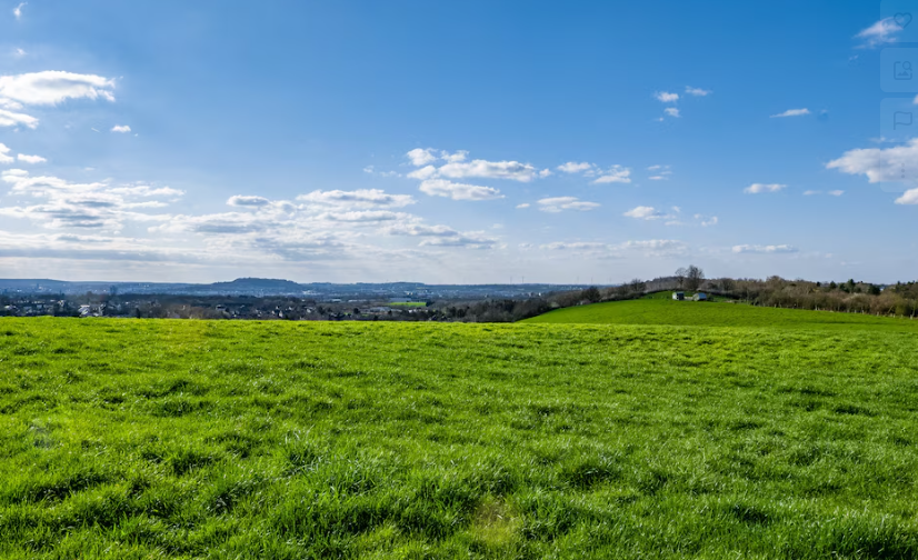 Chuva beneficia desenvolvimento das pastagens no Sul do país