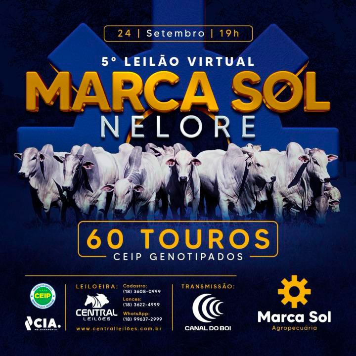 5° Leilão Virtual Marca Sol Nelore hoje às 19h no Canal do Boi