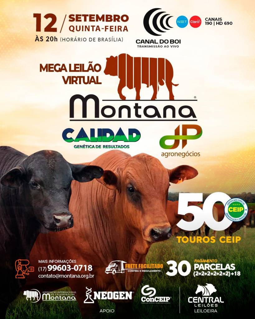 Mega Leilão Virtual Montana hoje às 20h no Canal do Boi