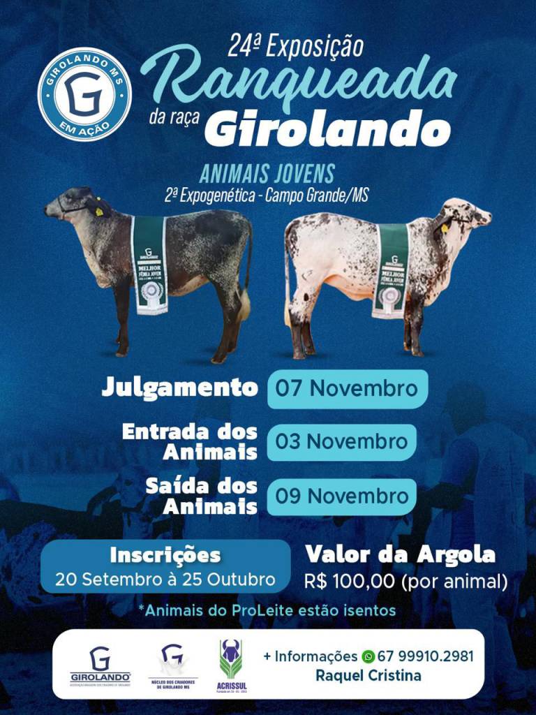 Raça Girolando é destaque na Expogenética MS 2025 com julgamento de animais