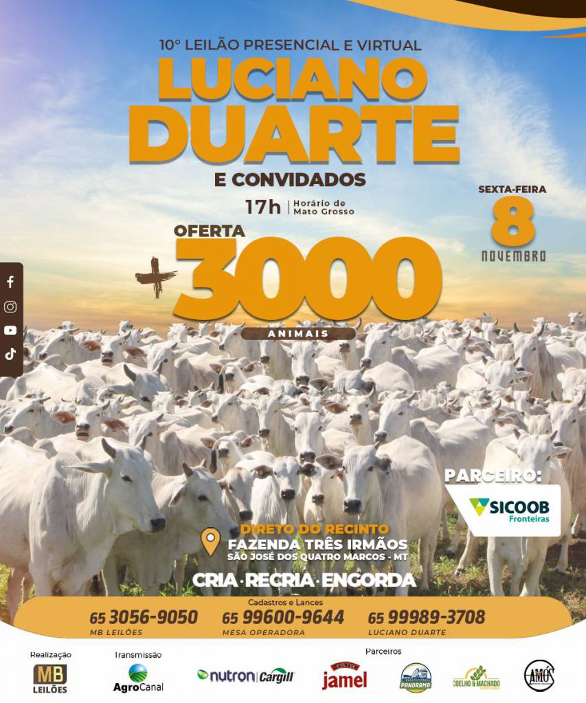 10° Leilão Presencial e Virtual Luciano Duarte hoje no Agro Canal