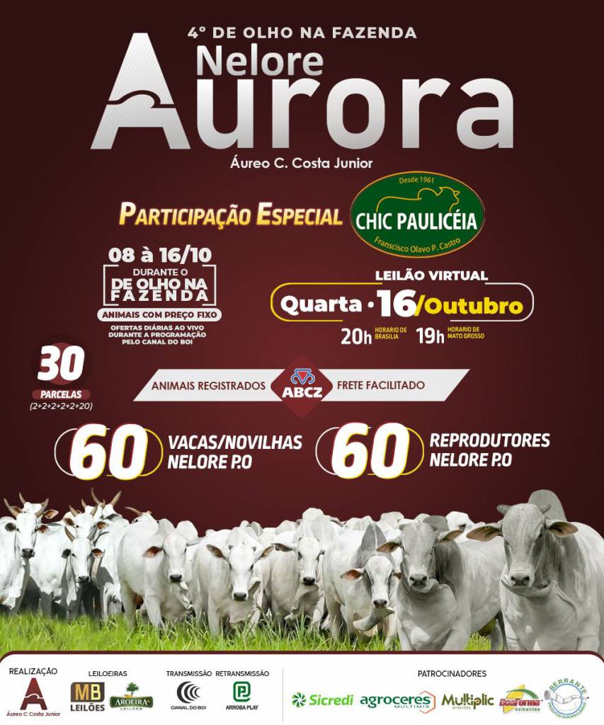 4° De Olho Na Fazenda Nelore Aurora hoje às 20h no Canal do Boi