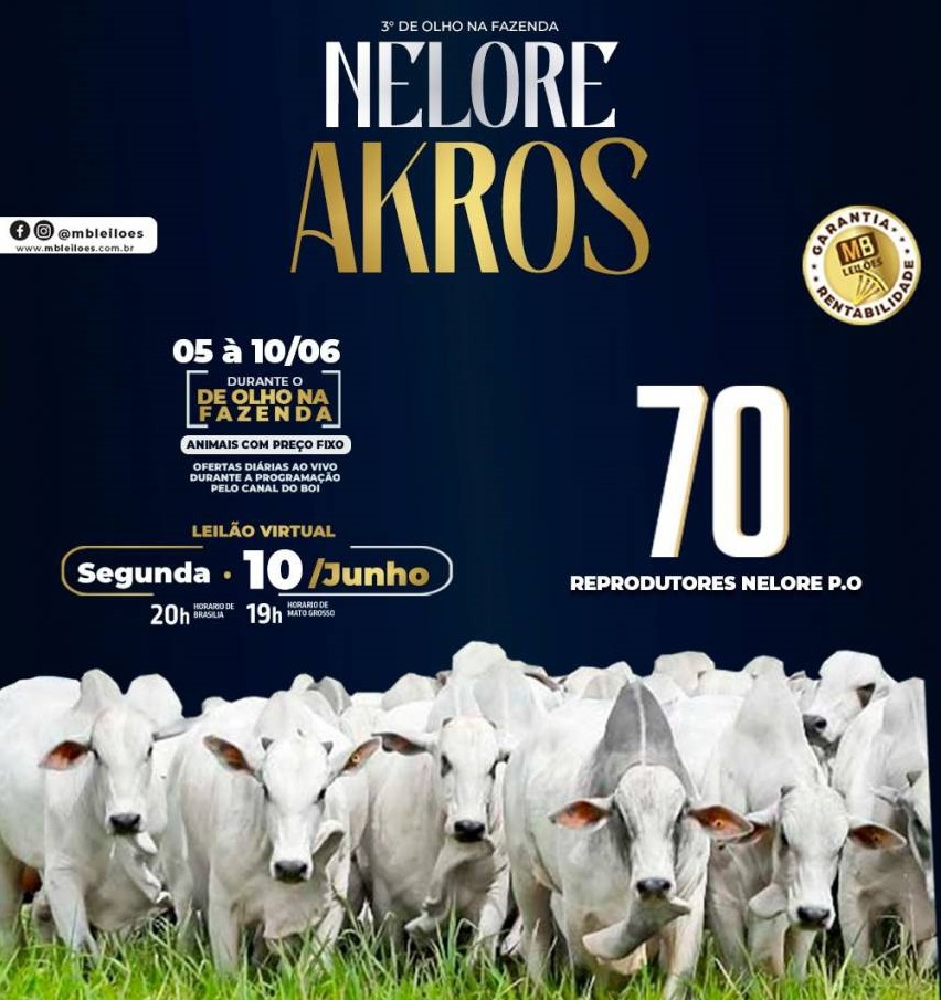 Leilão Virtual Nelore Akros hoje às 20h