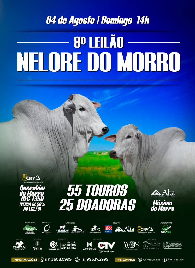 8° Leilão Nelore do Morro hoje às 14h no Canal do Boi