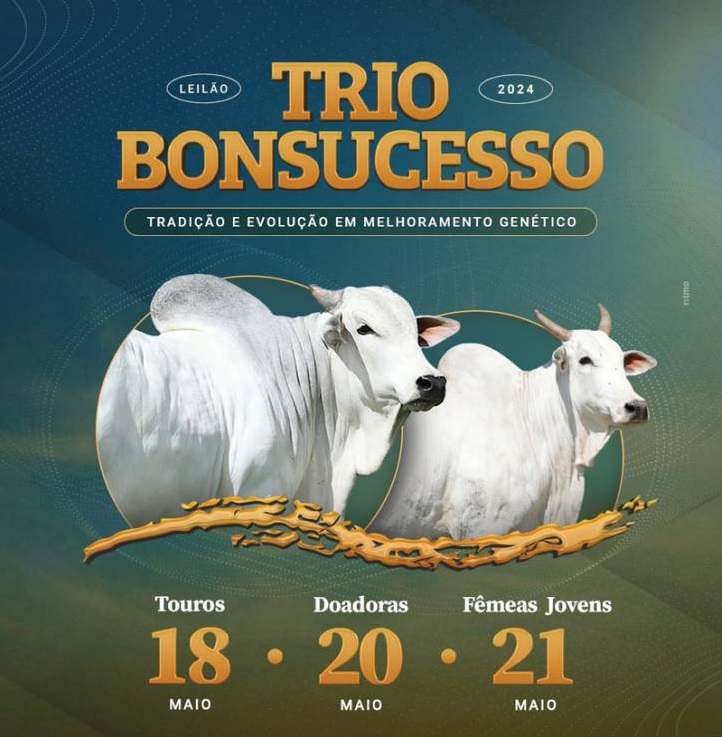 Leilão Trio Bonsucesso - Etapa Doadoras hoje às 19h no Canal do Boi