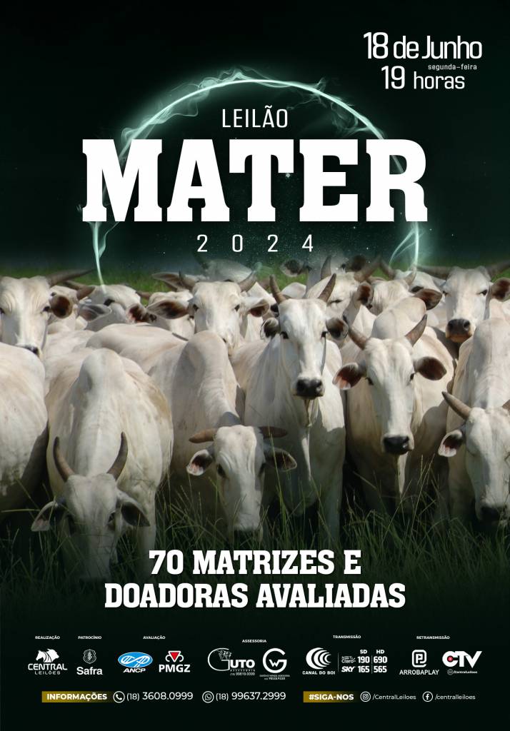 Leilão Mater 2024 hoje às 19h no Canal do Boi