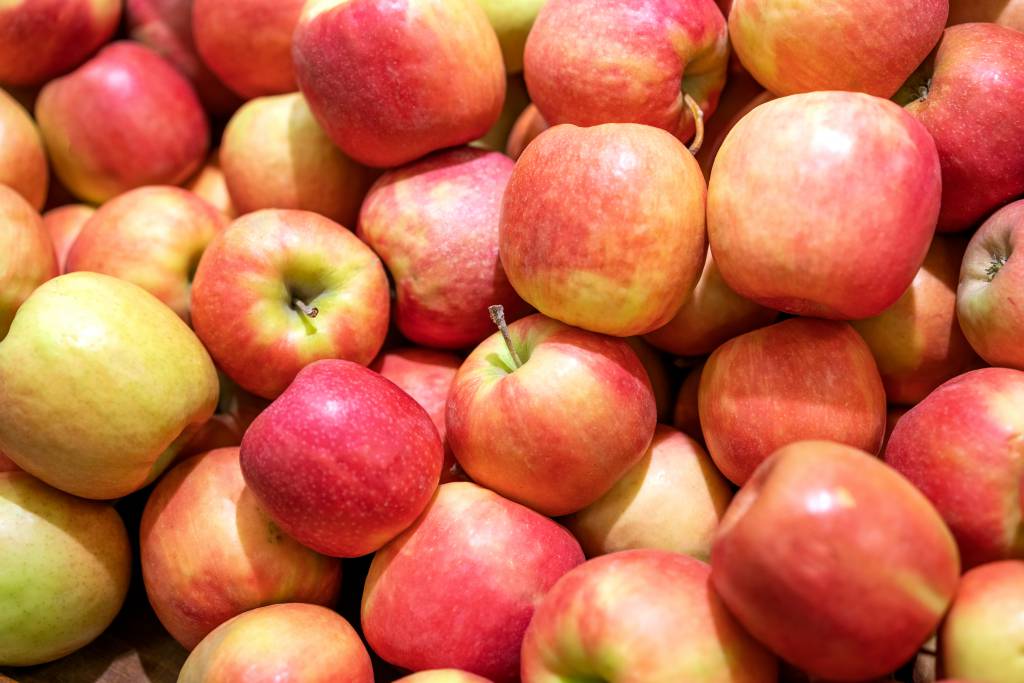 Missão da Malásia visita produções de maçã e uva do Rio Grande do Sul