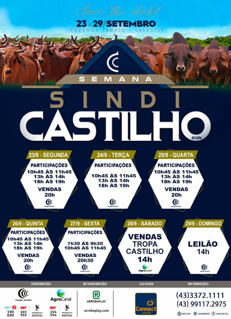 Começa hoje Semana Sindi Castilho 2024