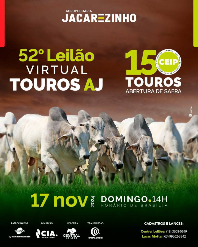 52° Leilão Agropecuária Jacarezinho hoje às 14h no Canal do Boi