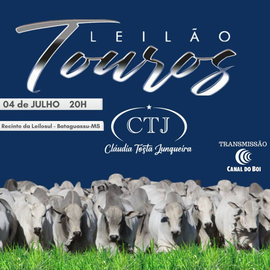 Leilão Touros CTJ hoje às 19h no Canal do Boi