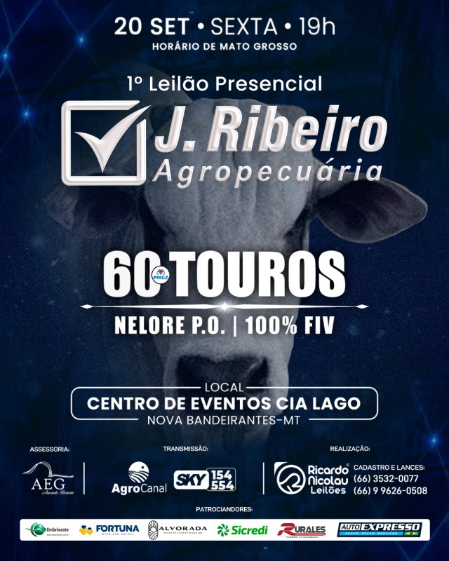 1° Leilão Presencial J Ribeiro Agropecuária hoje no Agro Canal