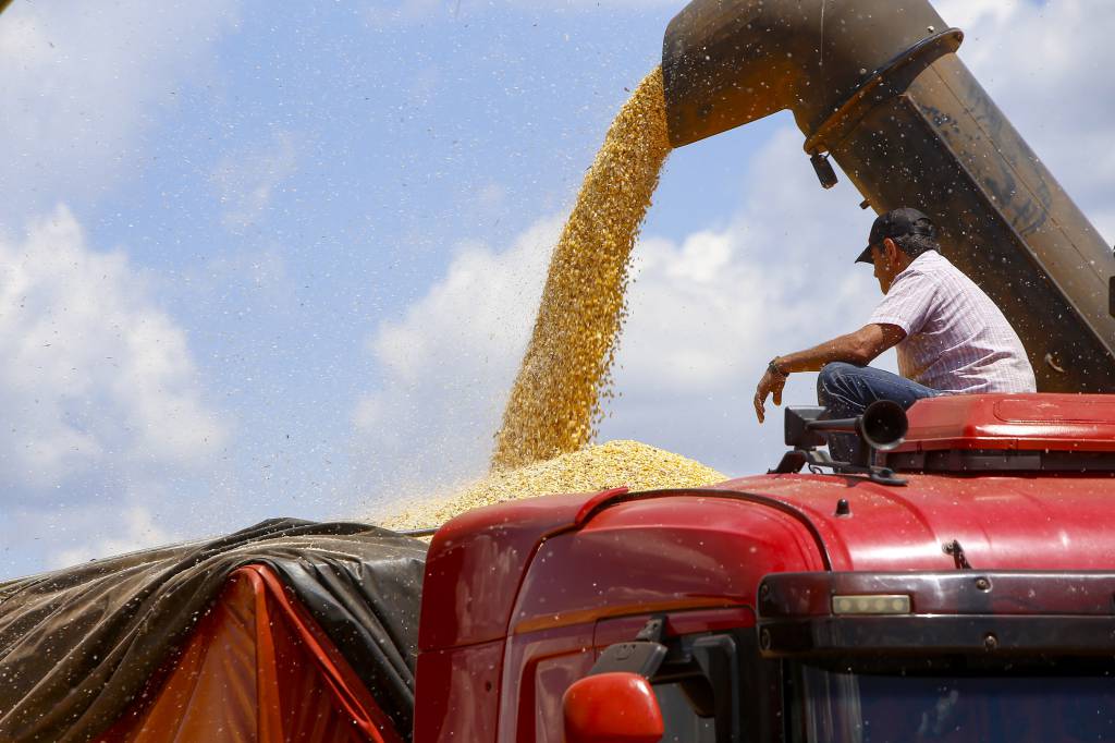 VBP Agropecuário do Paraná cresce 11% em 2023 e alcança R$ 197,8 bilhões