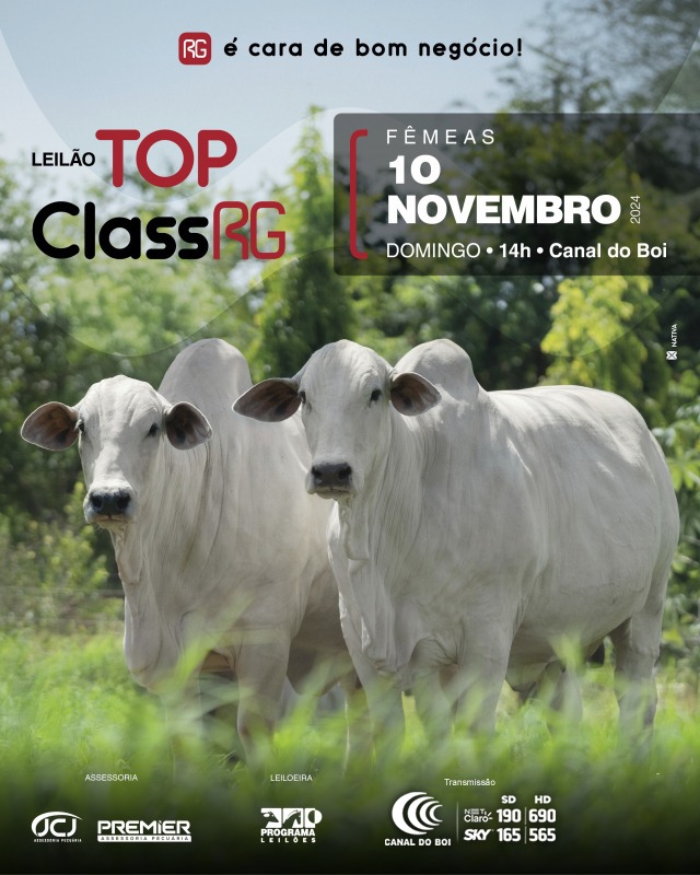 Leilão Virtual Top Class RG - Fêmeas hoje às 14h no Canal do Boi