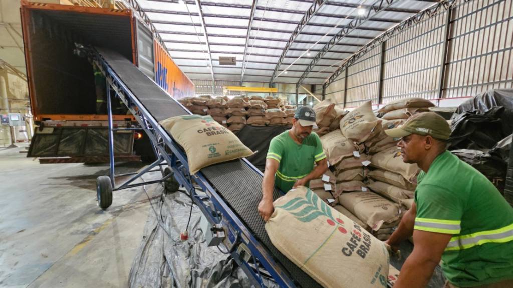 Exportação de café do Brasil totaliza 36,9 milhões de sacas no acumulado de 2025