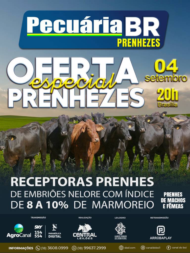 Pecuária BR Prenhezes realiza venda a preço fixo hoje às 20h no Agro Canal