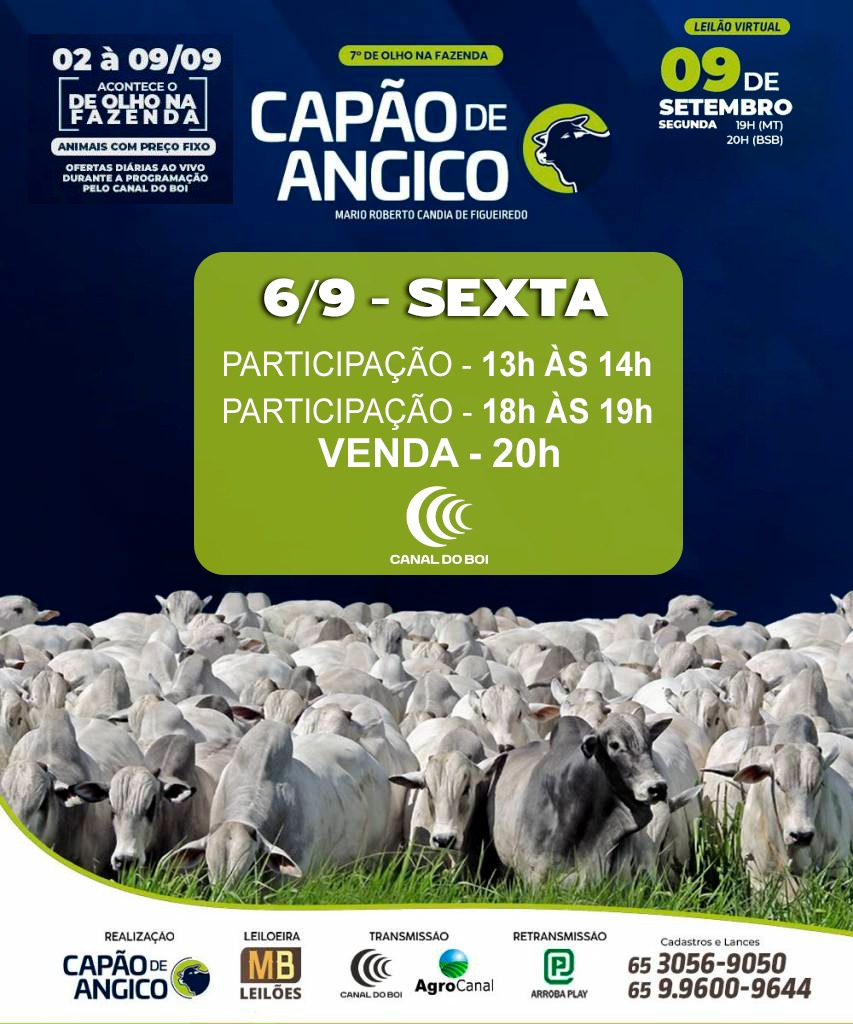 7° De Olho na Fazenda Capão de Angico hoje às 20h no Canal do Boi