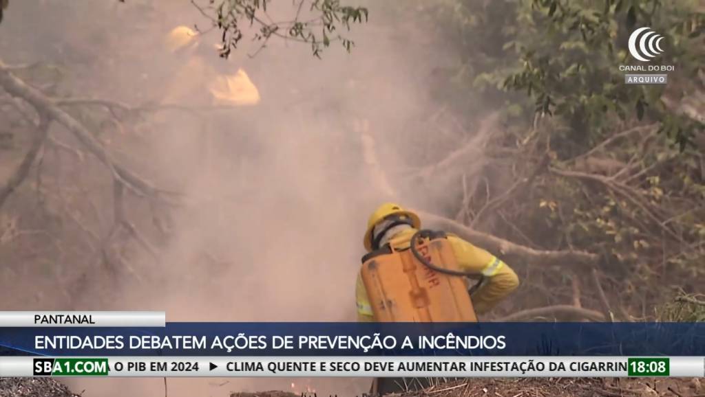 Entidades se reúnem para debater ações de combate a incêndios no Pantanal