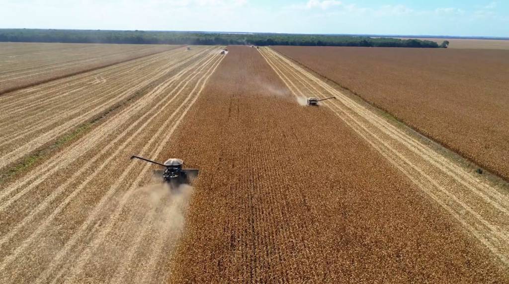 Confederação de Agricultura e Pecuária discute agendas prioritárias para soja e milho