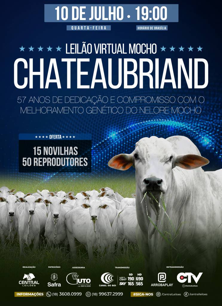 Leilão Virtual Mocho Chateaubriand hoje às 19h no Canal do Boi